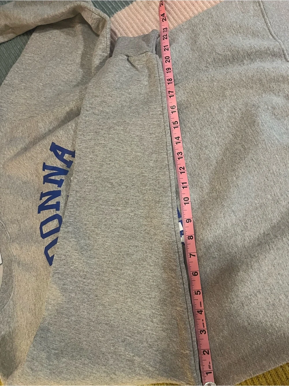 🎓 Madonna University Champion Sweatshirt 💙 Size L